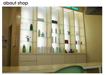 フューチャーゾーン
 (FUTURE ZONE）店内2