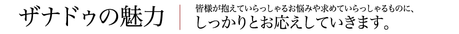 ザナドゥの魅力 